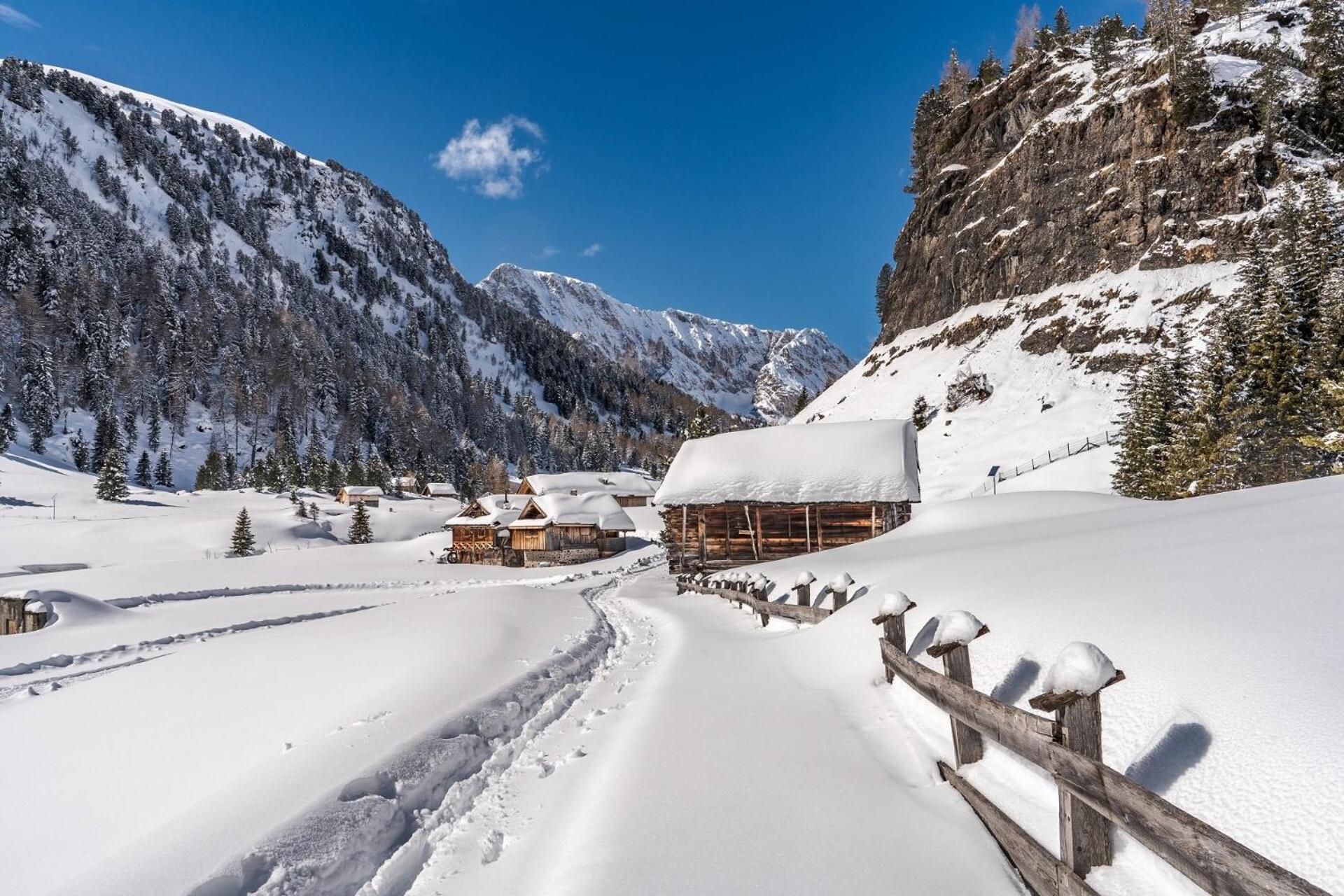 Cesa Col De Pin Apartment *